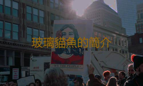 玻璃貓魚的簡介