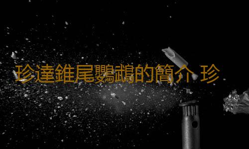 珍達錐尾鸚鵡的簡介 珍達錐尾鸚鵡的產地