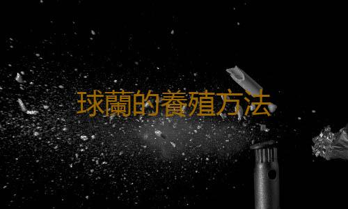 球蘭的養殖方法