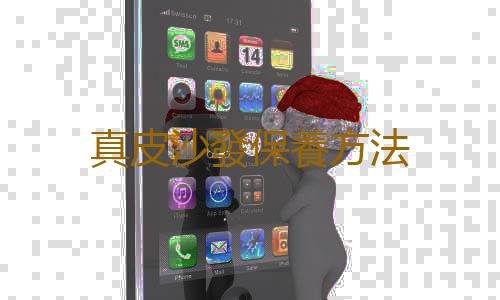 真皮沙發保養方法
