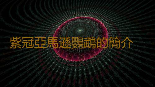 紫冠亞馬遜鸚鵡的簡介 紫冠亞馬遜鸚鵡的產地
