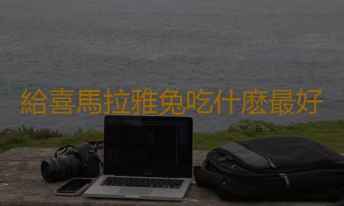 給喜馬拉雅兔吃什麽最好？