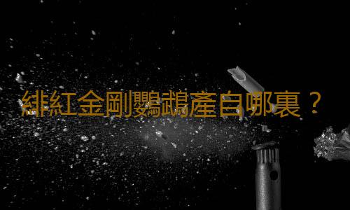 緋紅金剛鸚鵡產自哪裏？緋紅金剛鸚鵡的簡介