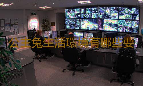 公主兔生活環境有哪些要求？