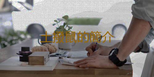 土撥鼠的簡介