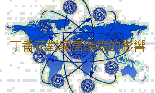 丁香花對家居環境的影響