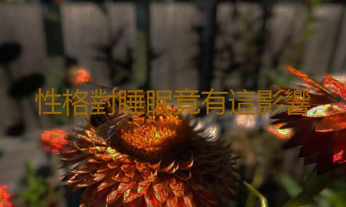 性格對睡眠竟有這影響