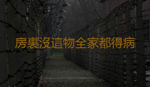 房裏沒這物全家都得病