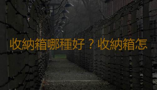 收納箱哪種好？收納箱怎麽選購
