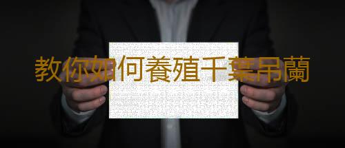 教你如何養殖千葉吊蘭