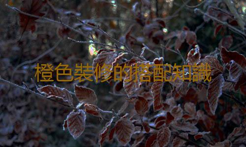 橙色裝修的搭配知識
