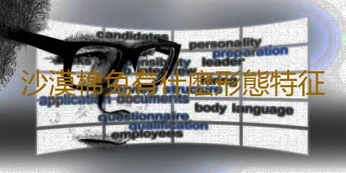 沙漠棉兔有什麽形態特征？