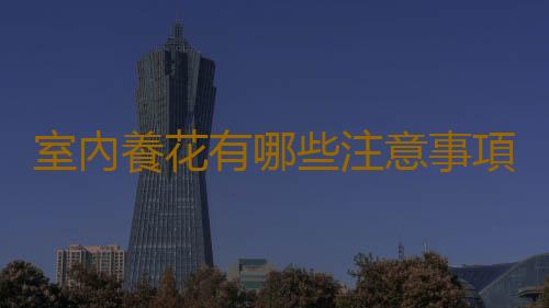室內養花有哪些注意事項