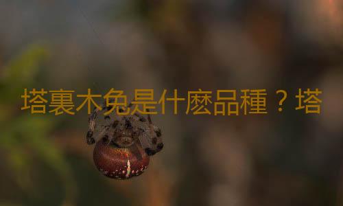 塔裏木兔是什麽品種？塔裏木兔的簡介