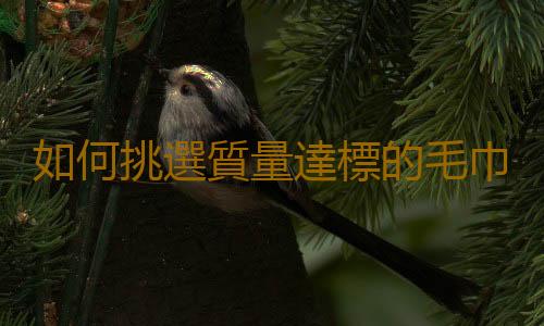如何挑選質量達標的毛巾？毛巾消毒小貼士