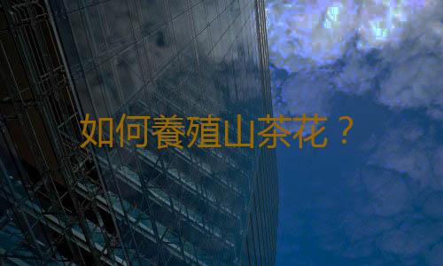 如何養殖山茶花？