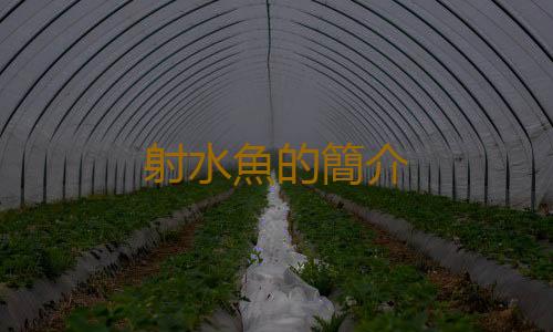射水魚的簡介