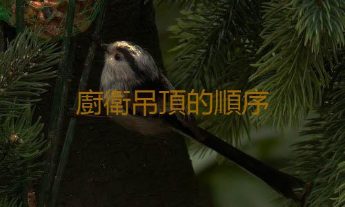 廚衛吊頂的順序