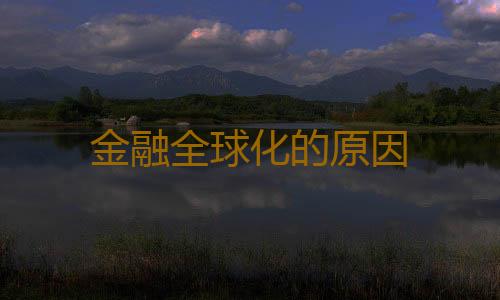金融全球化的原因