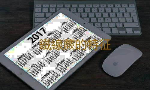 鐵線蕨的特征