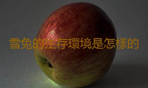 雪兔的生存環境是怎樣的？