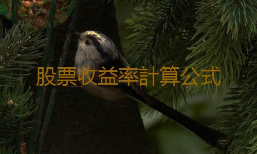 股票收益率計算公式