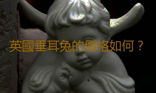 英國垂耳兔的價格如何？