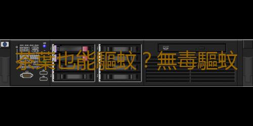 茶葉也能驅蚊？無毒驅蚊妙招大放送