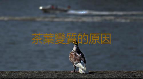 茶葉變質的原因