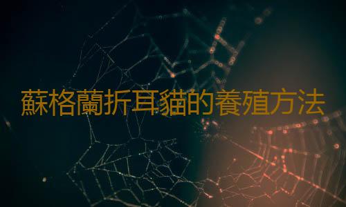 蘇格蘭折耳貓的養殖方法是什麽？