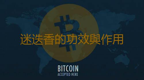 迷迭香的功效與作用