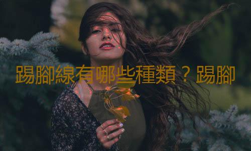 踢腳線有哪些種類？踢腳線的安裝方法