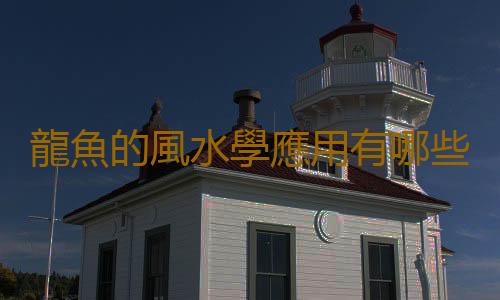龍魚的風水學應用有哪些？