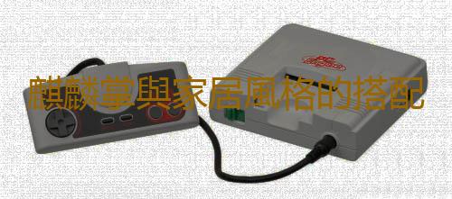 麒麟掌與家居風格的搭配