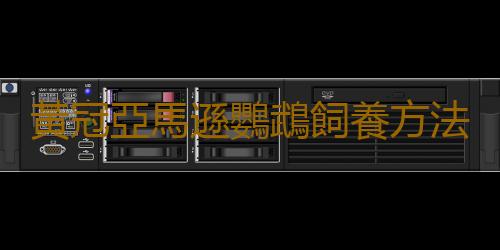 黃冠亞馬遜鸚鵡飼養方法 黃冠亞馬遜鸚鵡的價格